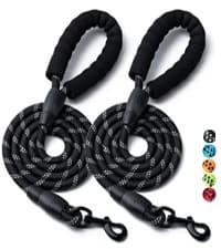 2 Pack Dog Leash — Heavy Duty Nylon Rope Pet Leashes — collection imagery