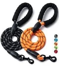 2 Pack Dog Leash — Heavy Duty Nylon Rope Pet Leashes — collection imagery