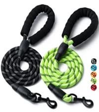 2 Pack Dog Leash — Heavy Duty Nylon Rope Pet Leashes — collection imagery
