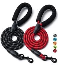 2 Pack Dog Leash — Heavy Duty Nylon Rope Pet Leashes — collection imagery
