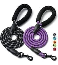 2 Pack Dog Leash — Heavy Duty Nylon Rope Pet Leashes — collection imagery