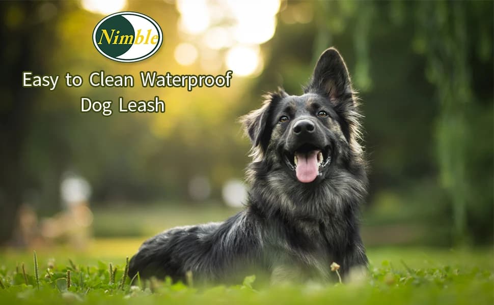 Waterproof Long Dog Leash Recall Training Lead 5 10 16 30 50 Foot for Large Medium Small Dogs Outdoor Training — Easy to Clean Waterproof Dog Leash