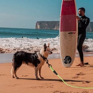 Floating Long Dog Leash — 20ft Dog Training Leash for Swimming and Lake — collection imagery