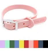 Long Dog Leash Waterproof Training Leashes 50ft 30ft 20ft 15ft 10ft 6ft — collection imagery