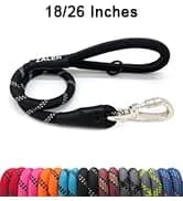 Long Dog Leash Waterproof Training Leashes 50ft 30ft 20ft 15ft 10ft 6ft — collection imagery