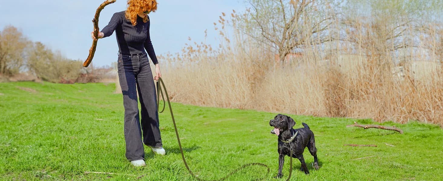 Long Leash for Dogs Waterproof — collection imagery