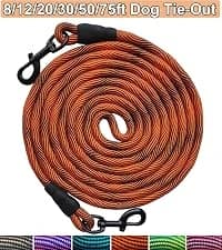 Long Dog Leash — 10/15/20/30/50FT Dog Training Leash with Soft Handle — collection imagery