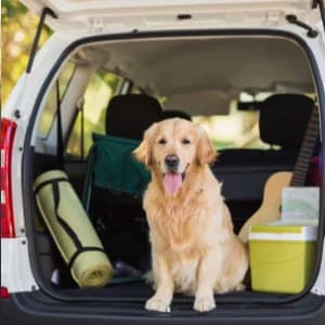 Dog Car Seat Cover — Back Seat Cover for Dogs Pet Car Seat Protector — collection imagery