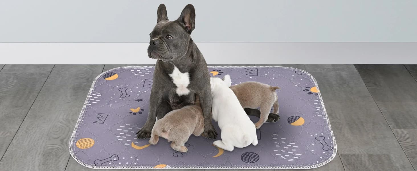 Washable Pee Pads for Dogs 2 Pack 34" x 36" — Waterproof — collection imagery