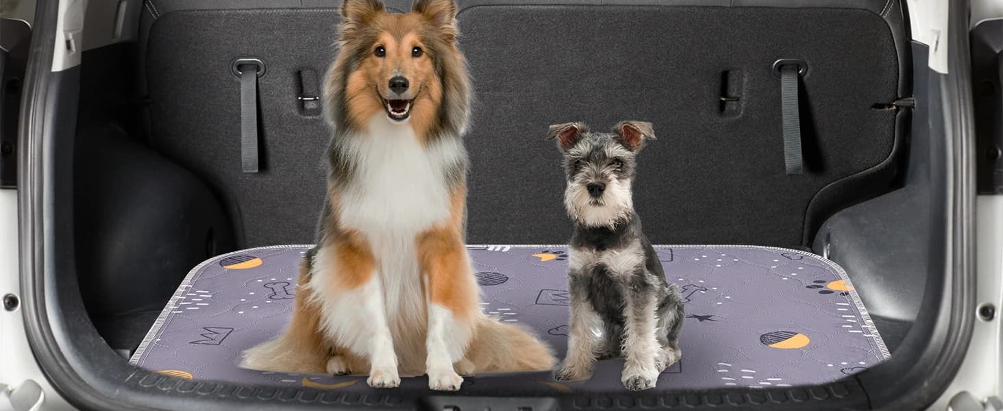 Washable Pee Pads for Dogs 2 Pack 34" x 36" — Waterproof — collection imagery