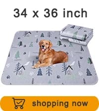 Washable Pee Pads for Dogs 2 Pack 34" x 36" — Waterproof — collection imagery