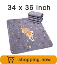 Washable Pee Pads for Dogs 2 Pack 34" x 36" — Waterproof — collection imagery