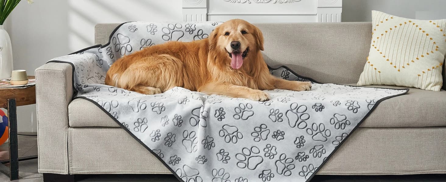Reusable Puppy Pads — Washable Pee Pads — collection imagery