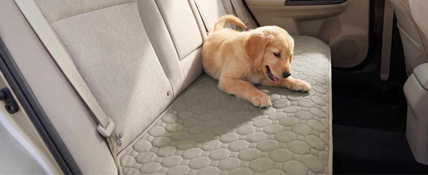 Premium Washable Pee Pads for Dogs 2 Pack Super Absorbent 100% Waterproof Reusable Non-Slip Quilted Puppy — collection imagery
