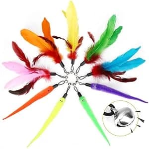 Cat Toys for Indoor Cats — Interactive Cat Toy 2PCS Retractable Wand Toy and 9PCS Cat Feather Toys Refills — collection imagery