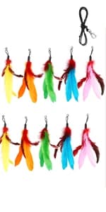 Cat Toys for Indoor Cats — Interactive Cat Toy 2PCS Retractable Wand Toy and 9PCS Cat Feather Toys Refills — product details