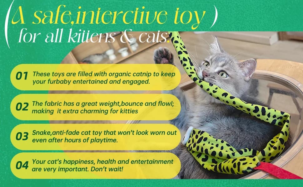 Interactive Cat Toy Wand with Catnip Mouse — product details