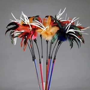 3 Pack 22.8" Extra Long Cat Feather Wand Toys — collection imagery