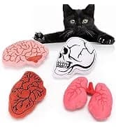 Plush Fall Catnip Toys for Indoor Cats 6 Pack — Pumpkin Shape — collection imagery