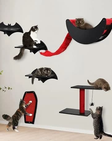 Plush Fall Catnip Toys for Indoor Cats 6 Pack — Pumpkin Shape — collection imagery