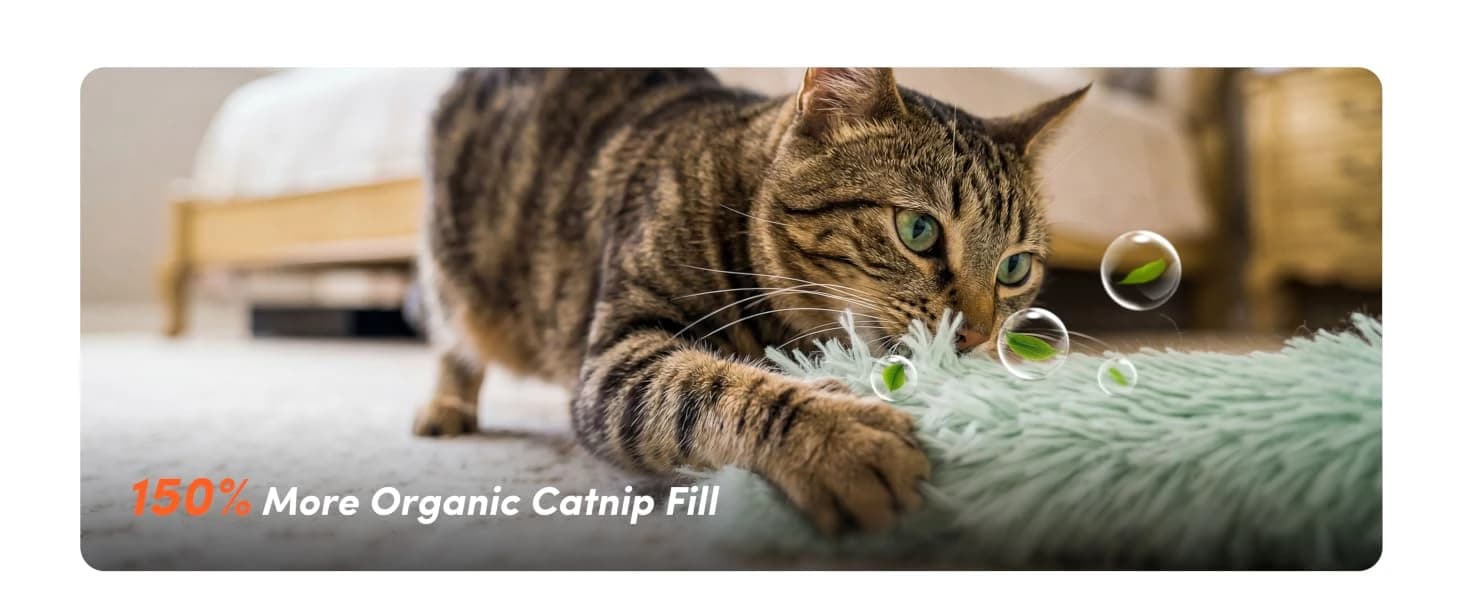 Catnip Cat Toys 4 Pack — Soft Cat Pillow Kicker Toys with Crinkle Sound — collection imagery