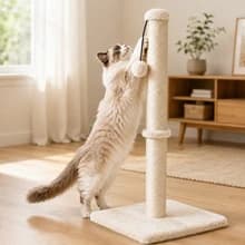 Tall Cat Scratching Post Tree Scratcher with Sisal Rope — Room to Stretch