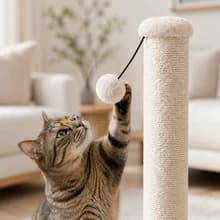 Tall Cat Scratching Post Tree Scratcher with Sisal Rope — Room to Stretch