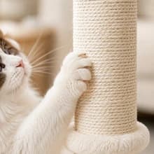 Tall Cat Scratching Post Tree Scratcher with Sisal Rope — Room to Stretch