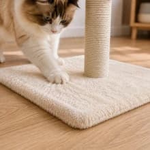 Tall Cat Scratching Post Tree Scratcher with Sisal Rope — Room to Stretch