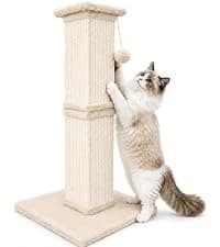 Cat Scratching Post for Indoor Cats — 32Inch Sisal Cat Scratcher — collection imagery