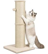 Cat Scratching Post for Indoor Cats — 32Inch Sisal Cat Scratcher — collection imagery