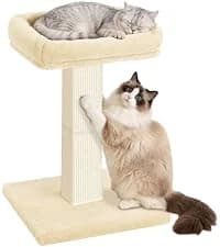 Cat Scratching Post for Indoor Cats — 32Inch Sisal Cat Scratcher — collection imagery