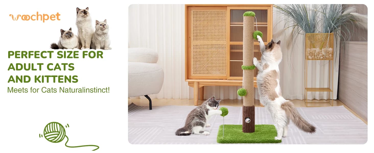 Funny Cat Scratching Posts Sturdy Scratcher Posts — 33'' — product details