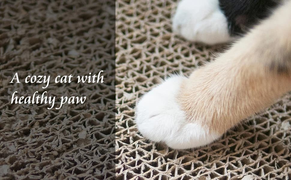 8 Packs in 1 Cat Scratch Pad — product details