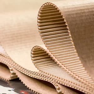8 Packs in 1 Cat Scratch Pad — collection imagery