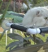 Cat Window Hammock – Mess-Free Waterproof Cats Window Perch for Large Cats — collection imagery