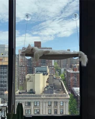 Cat Window Hammock – Mess-Free Waterproof Cats Window Perch for Large Cats — collection imagery