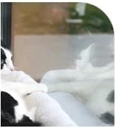 Foldable Cat Hammock for Window (White Bolster Bed — collection imagery