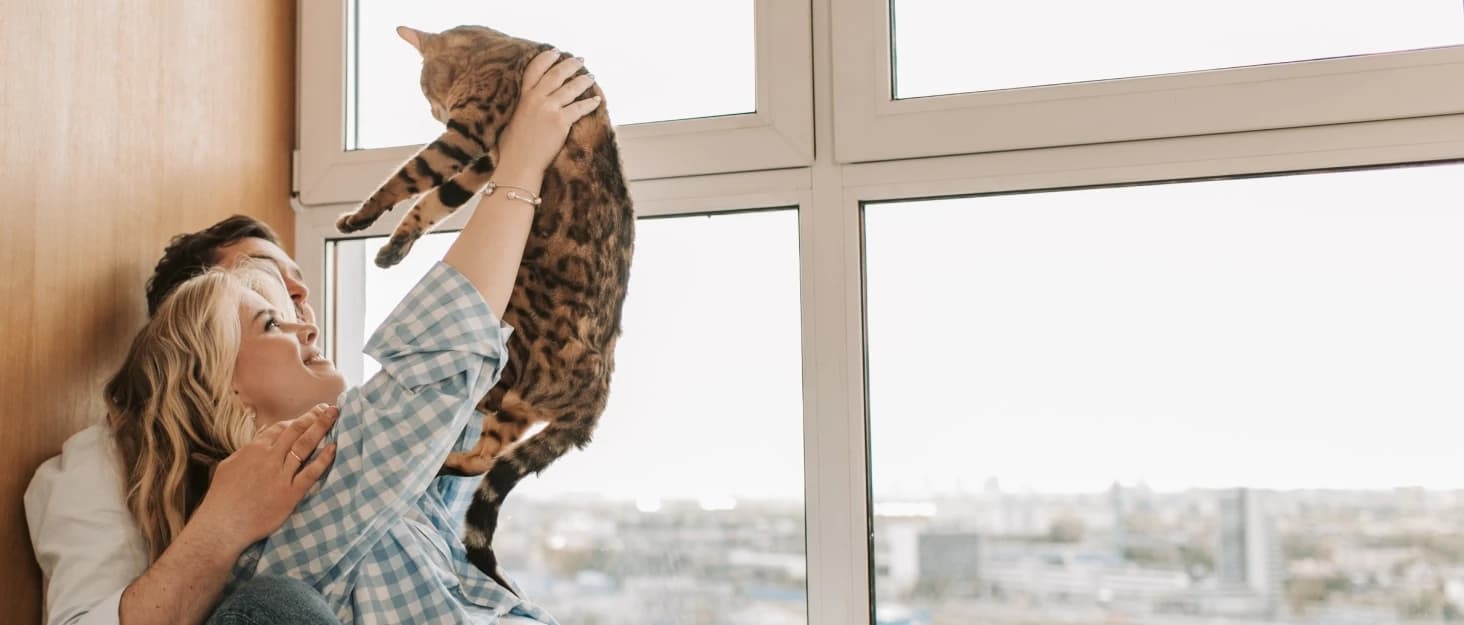 Foldable Cat Window Perch — Natural Wood — collection imagery