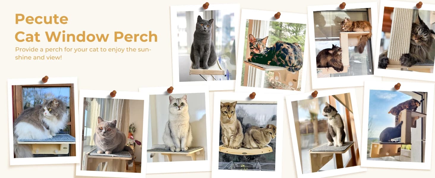 2-in-1 Cat Window Perch and Wall Shelves — product details