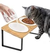 Foldable Cat Window Perch — Large Suction Cup Kitty Hammock — collection imagery