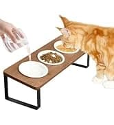 Foldable Cat Window Perch — Large Suction Cup Kitty Hammock — collection imagery