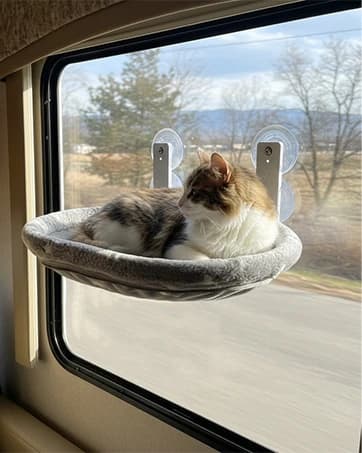 Cat Window Perch for Narrow Windows — collection imagery