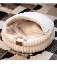 Cat Window Perch for Indoor Cats Hammock for Window with Reversible Cushion — collection imagery