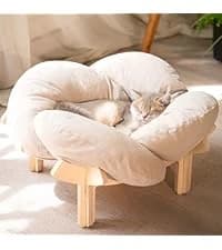 Cat Window Perch for Indoor Cats Hammock for Window with Reversible Cushion — collection imagery