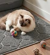 LittleTiger Cat Litter Mat — XL Super Size — collection imagery
