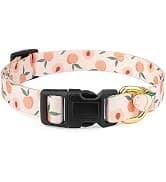 2 Pack Cotton Breakaway Cat Collar with Bell Yellow&Green Flowers Pendant Cute Kitten Cat Collar Suited to — collection imagery
