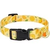 2 Pack Cotton Breakaway Cat Collar with Bell Yellow&Green Flowers Pendant Cute Kitten Cat Collar Suited to — collection imagery