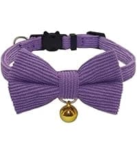 Leather Cat Collar with Bell Breakaway- Adjustable — collection imagery