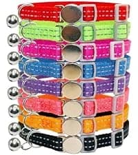 Leather Cat Collar with Bell Breakaway- Adjustable — collection imagery